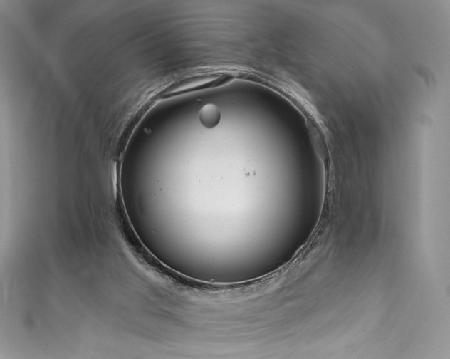 X0000111200013200907011442