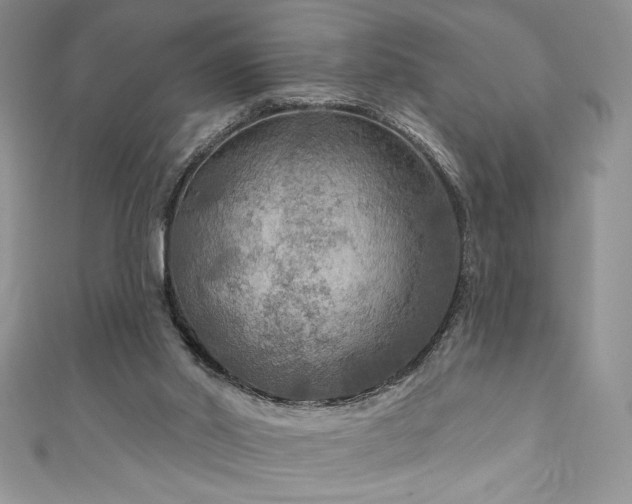 X0000111200014200907011442