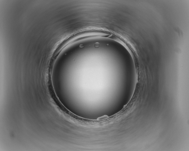 X0000111200015200907011442