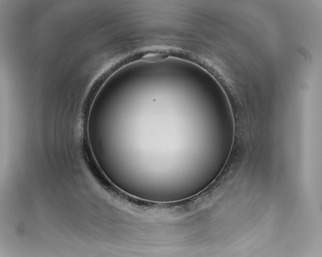 X0000111200016200907011442