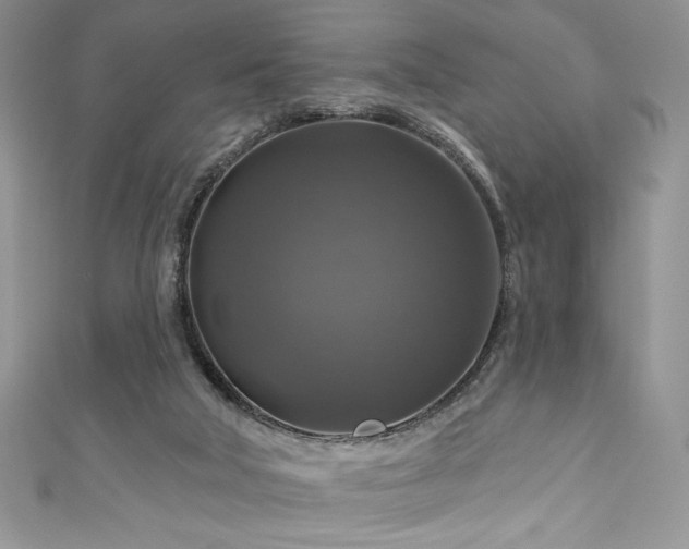 X0000111200018200907011442