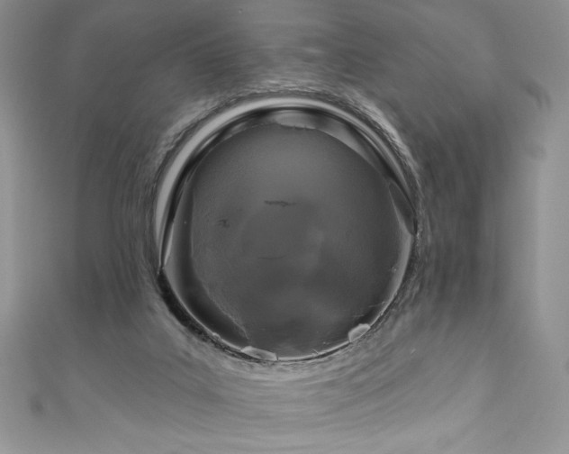 X0000111200019200907011442