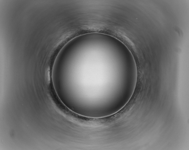 X0000111200020200907011442