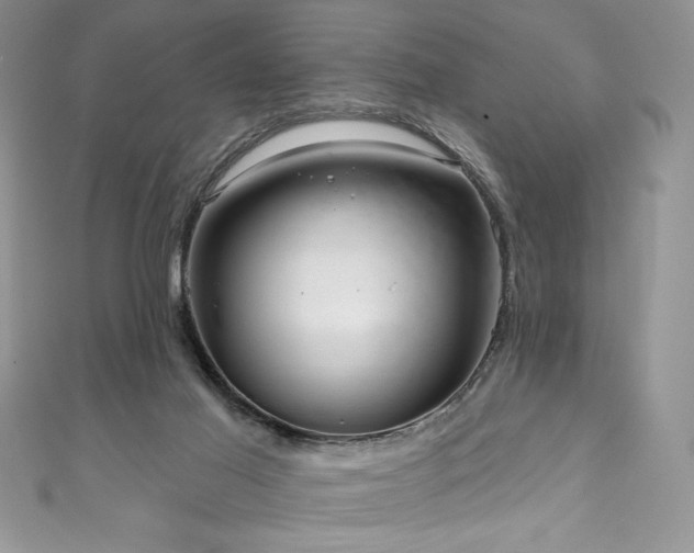 X0000111200021200907011442