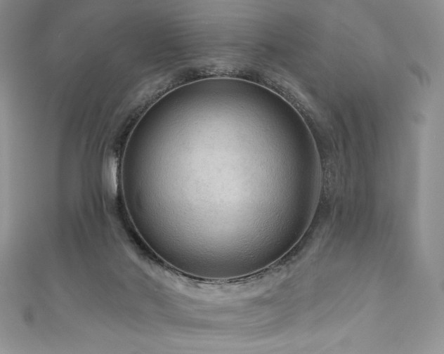 X0000111200022200907011442