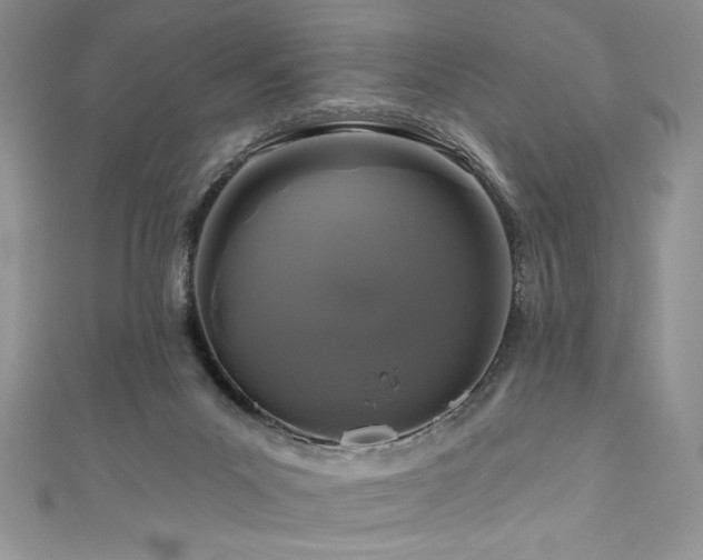 X0000111200023200907011442