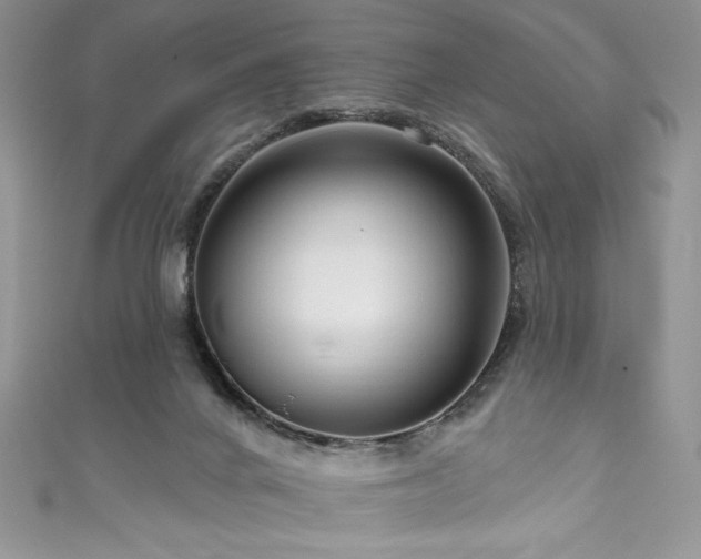 X0000111200024200907011442