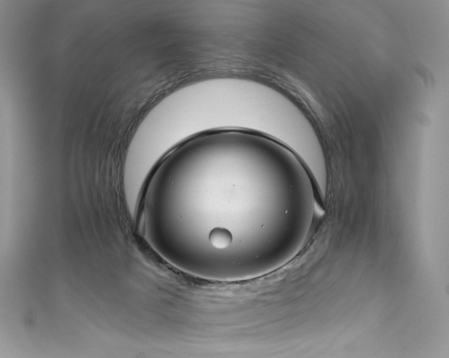 X0000111200025200907011442