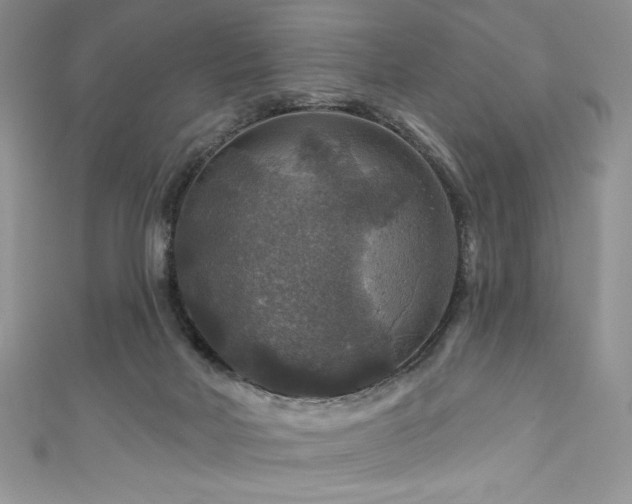 X0000111200026200907011442