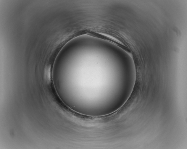 X0000111200028200907011442