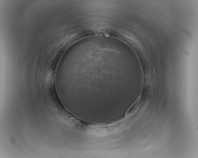 X0000111200029200907011442