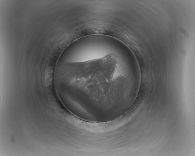 X0000111200030200907011442