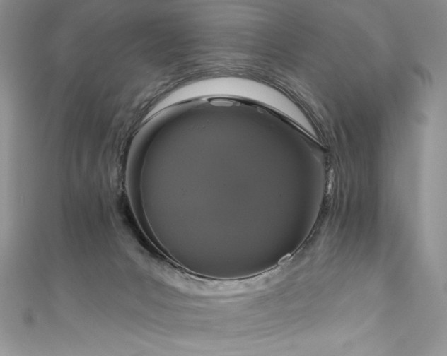 X0000111200031200907011442