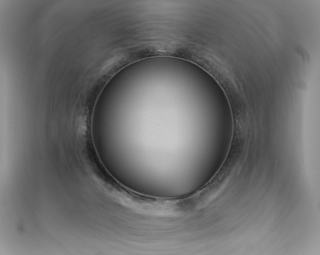 X0000111200032200907011442