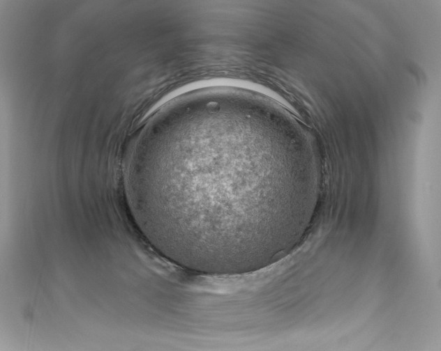 X0000111200033200907011442