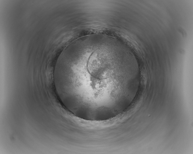 X0000111200034200907011442