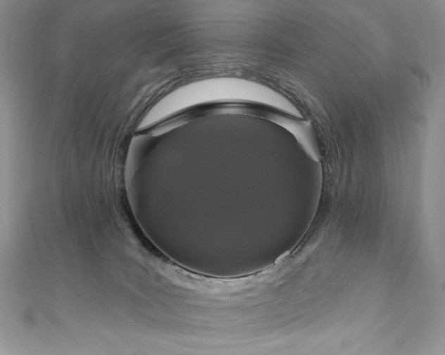 X0000111200035200907011442