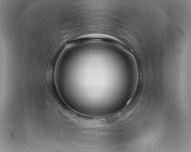 X0000111200036200907011442