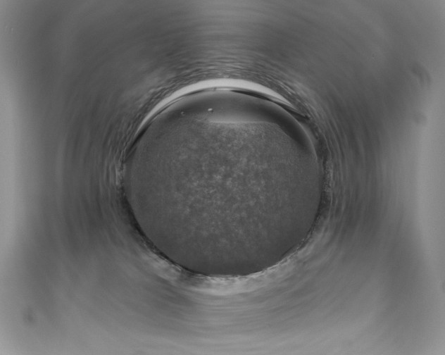 X0000111200037200907011442