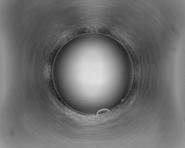 X0000111200038200907011442