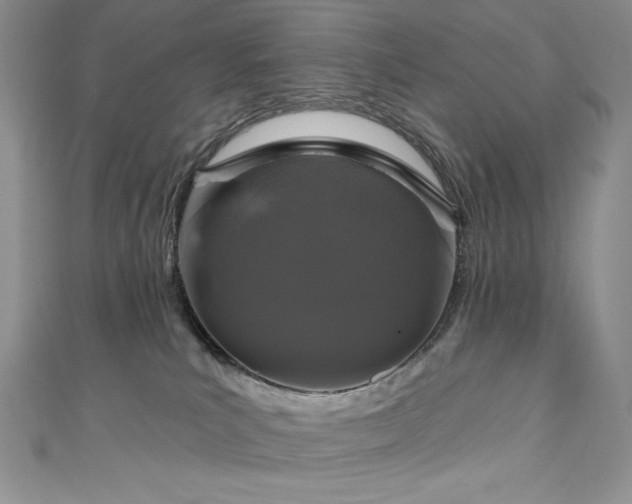 X0000111200039200907011442