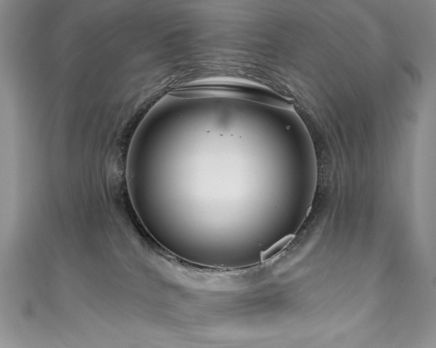 X0000111200040200907011442