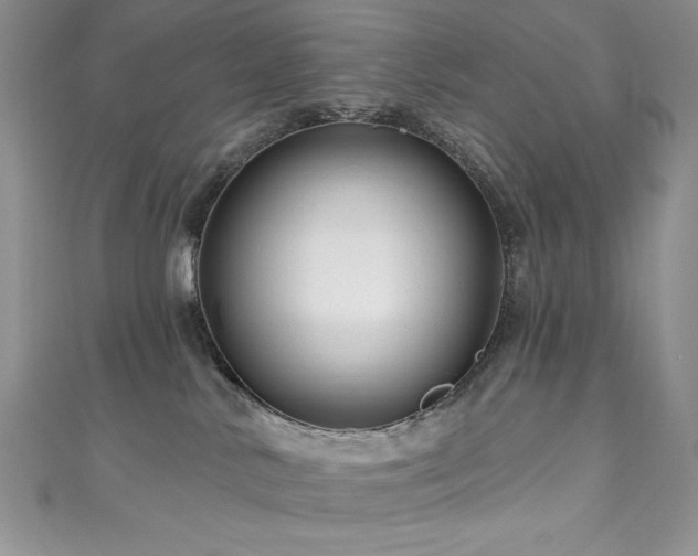 X0000111200042200907011442