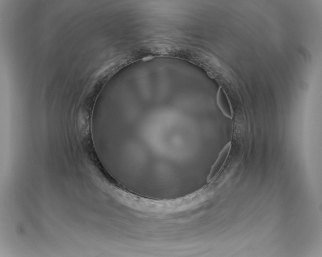 X0000111200043200907011442