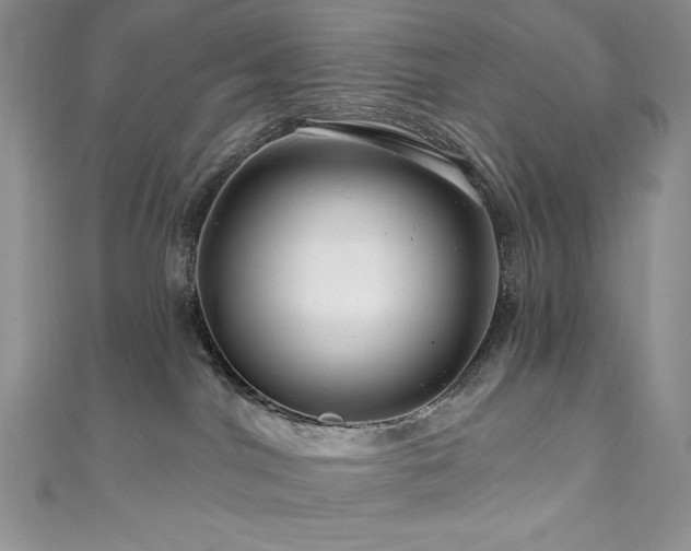 X0000111200044200907011442