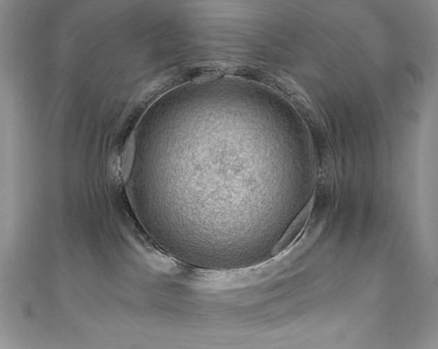 X0000111200045200907011442