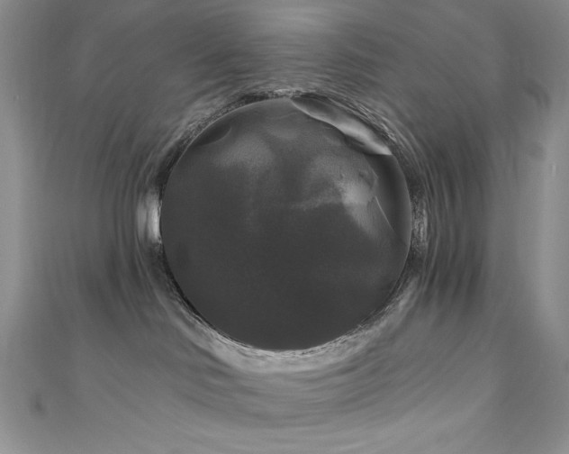 X0000111200046200907011442