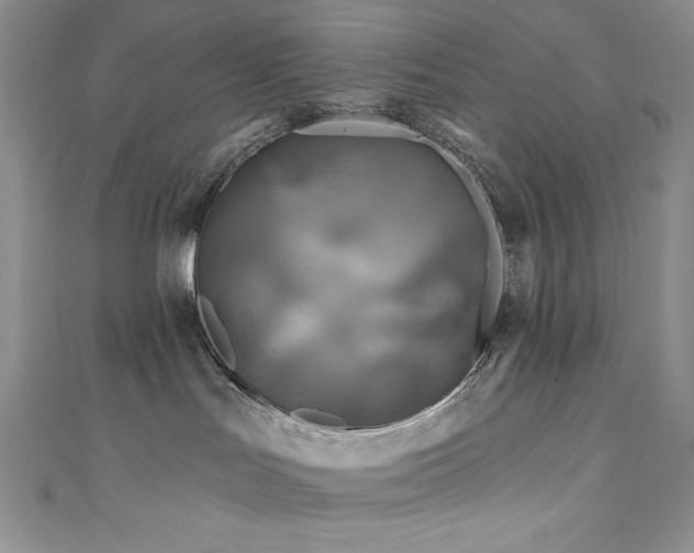 X0000111200047200907011442