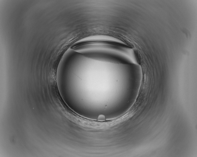 X0000111200048200907011442