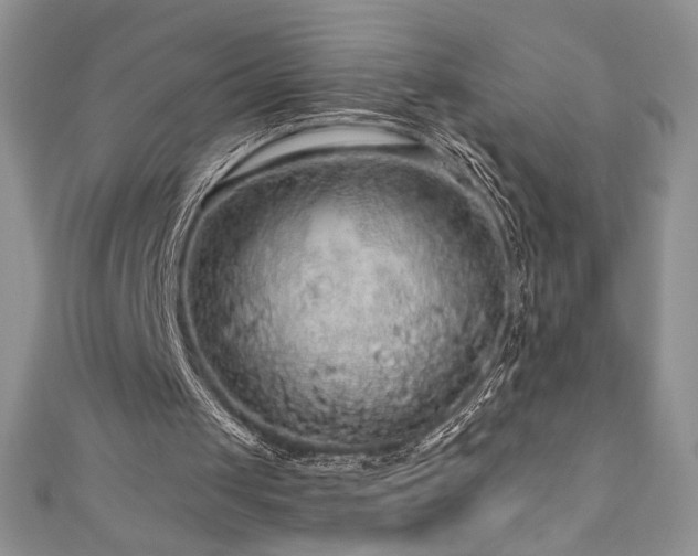 X0000111200049200907011441