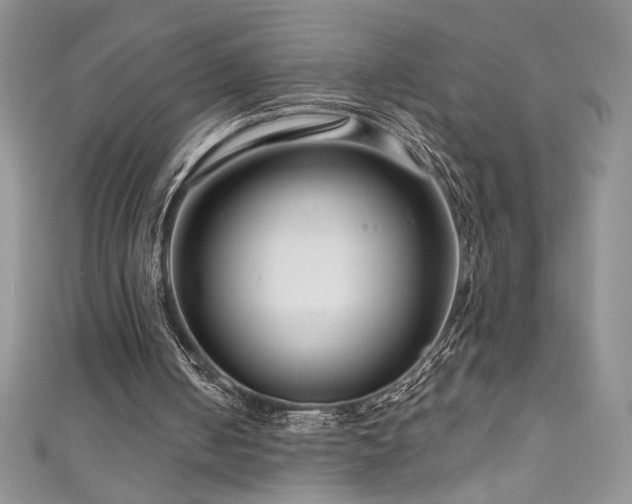 X0000111200050200907011441