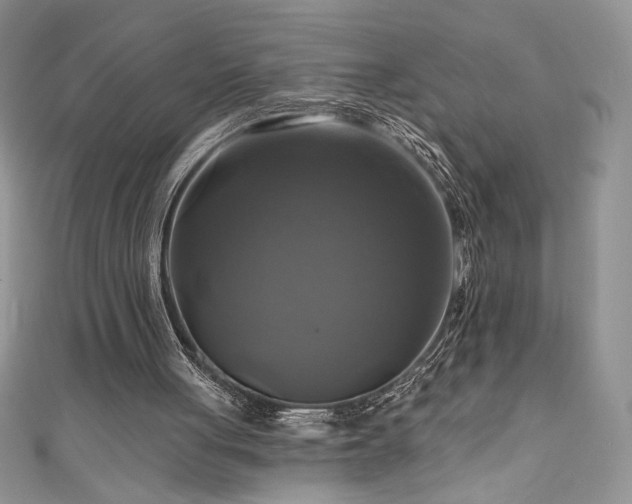 X0000111200051200907011441