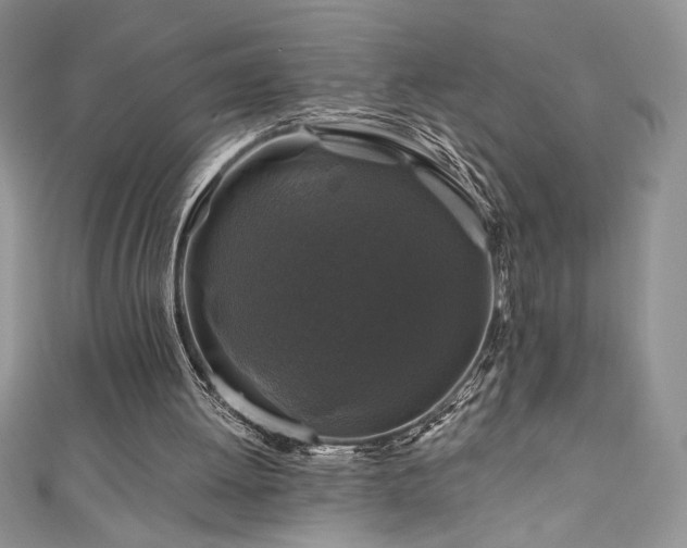 X0000111200052200907011441