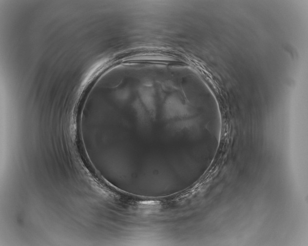 X0000111200053200907011441