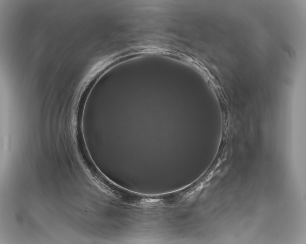 X0000111200055200907011441