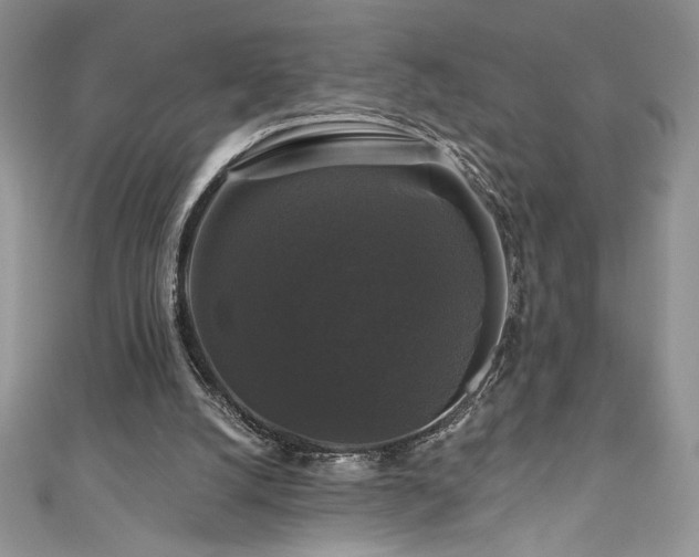 X0000111200056200907011441