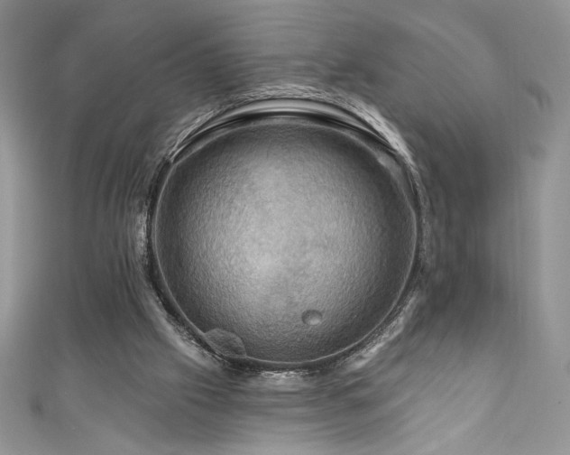 X0000111200057200907011442