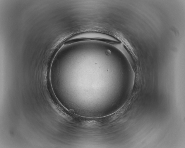 X0000111200058200907011442