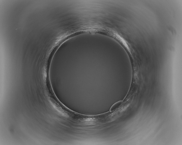 X0000111200059200907011442