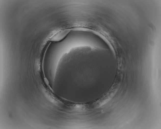 X0000111200060200907011442