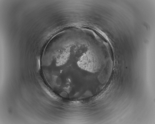 X0000111200061200907011442