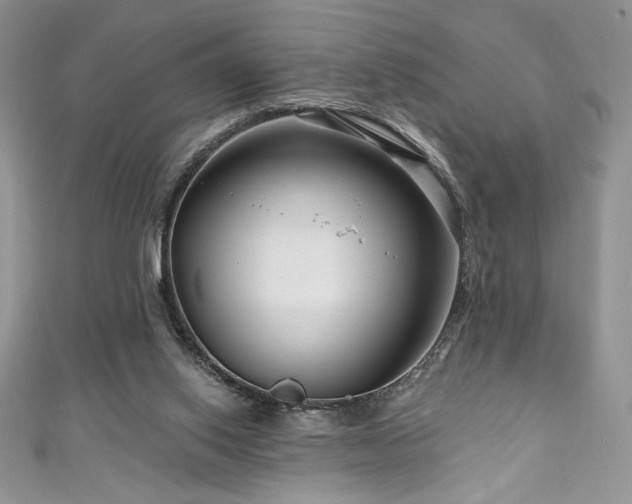 X0000111200062200907011442