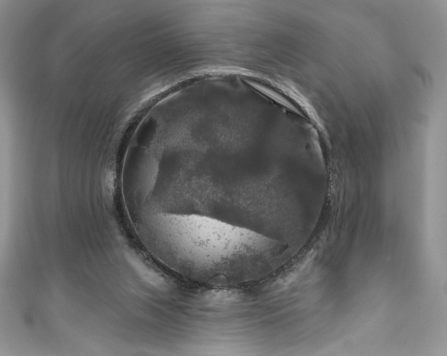 X0000111200063200907011442