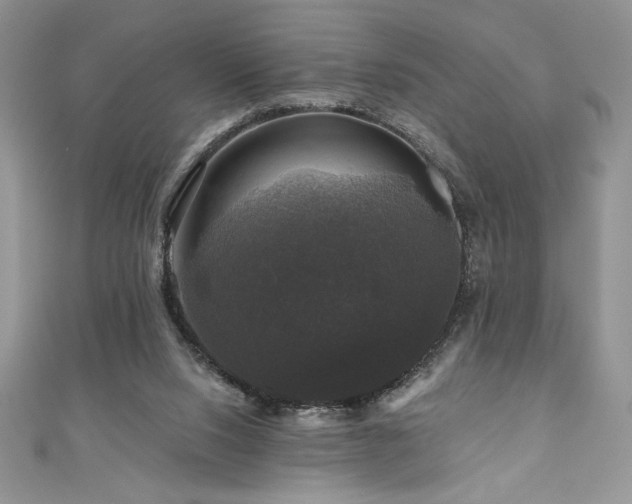 X0000111200064200907011442