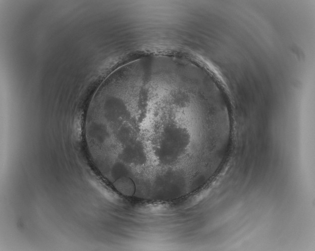 X0000111200065200907011442