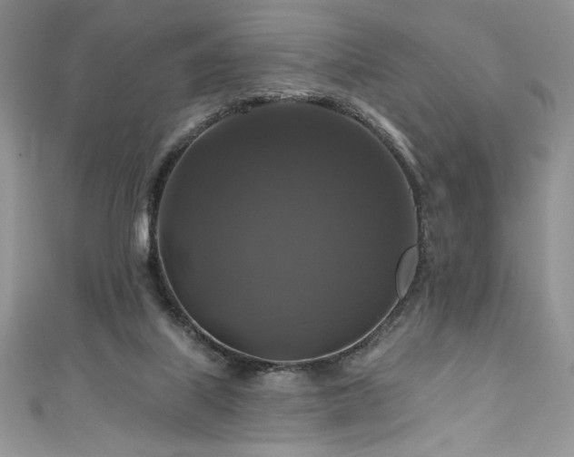 X0000111200067200907011442